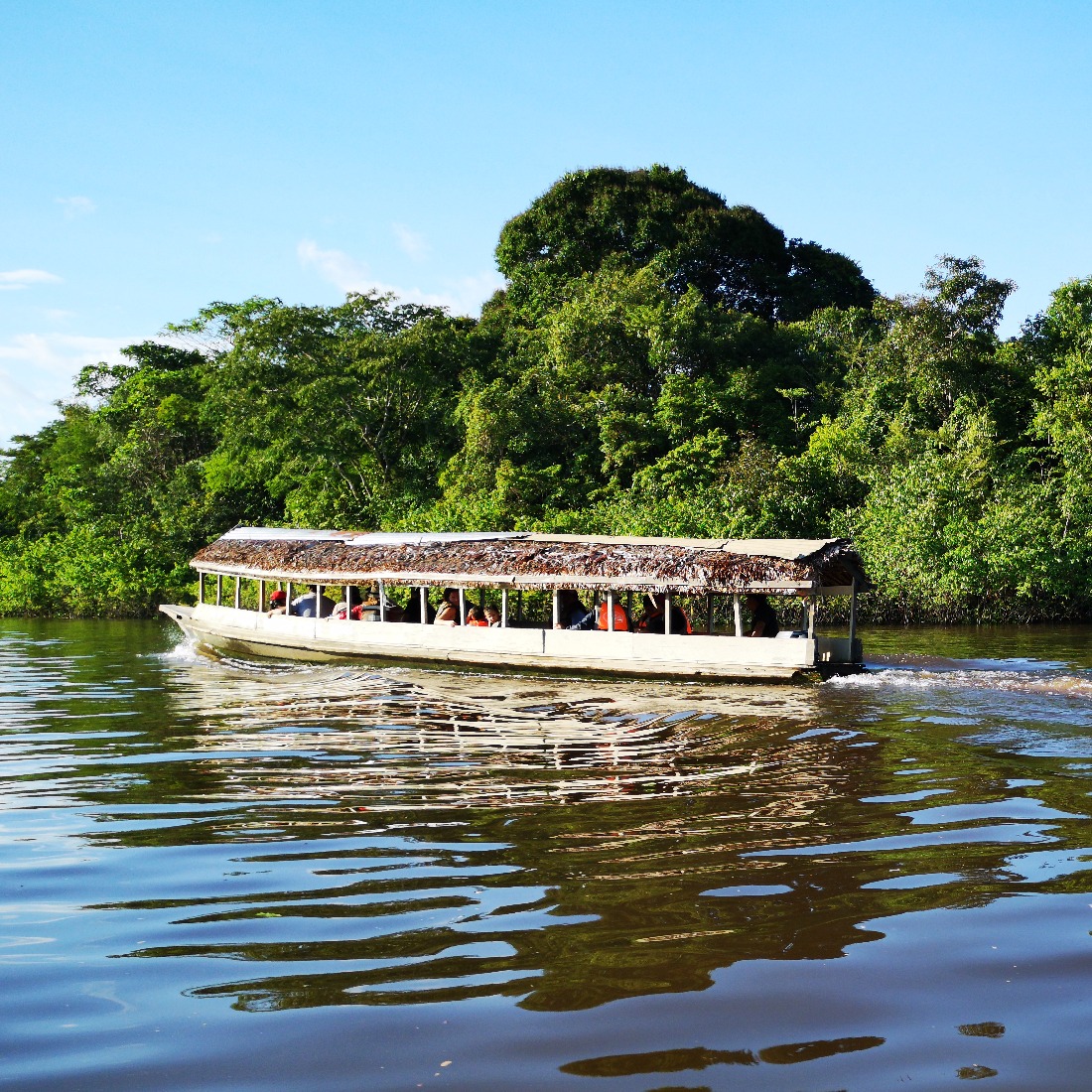 peru amazon river tours
